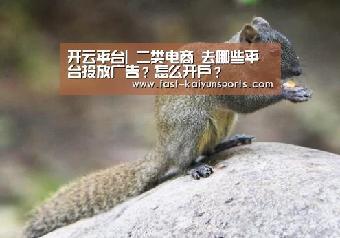 KAIYUN中国站