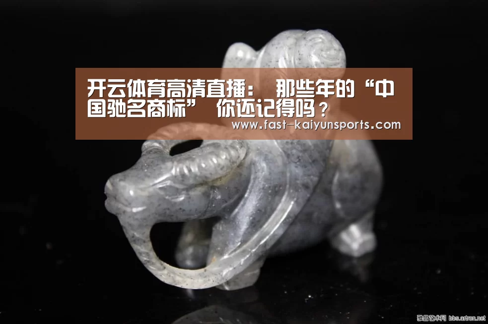 开云体育高清直播