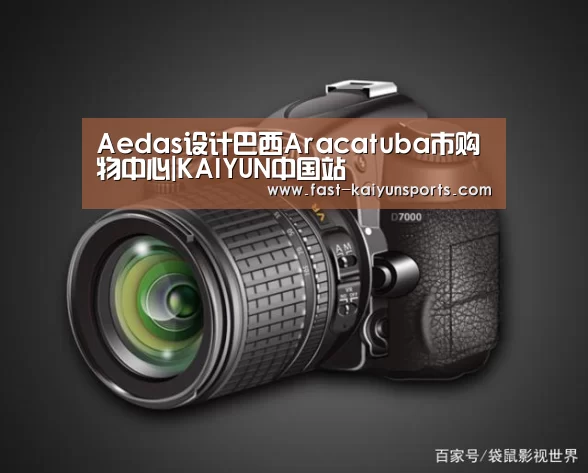 开云体育入口