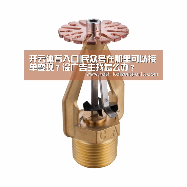 KAIYUN中国站