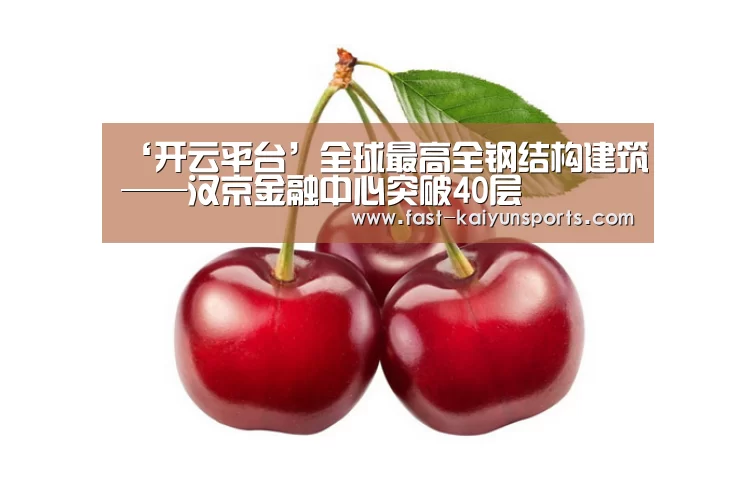 ‘开云平台’全球最高全钢结构建筑——汉京金融中心突破40层(图1) 开云体育高清直播