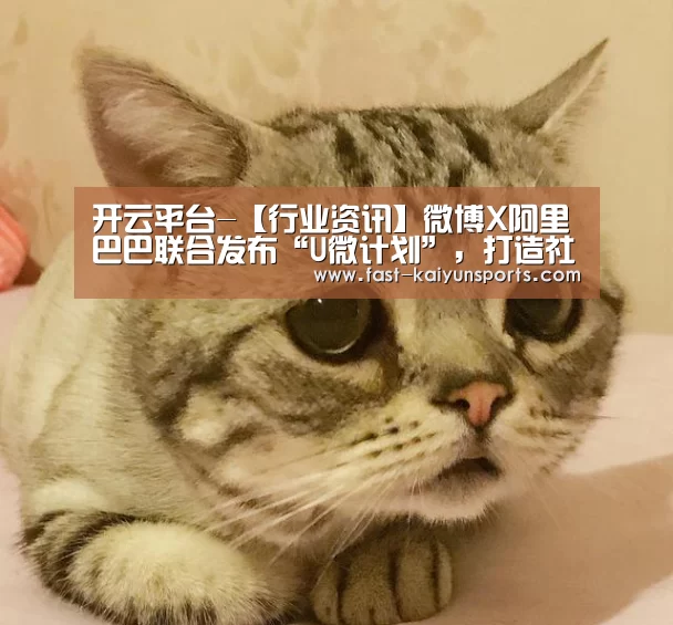 开云体育入口