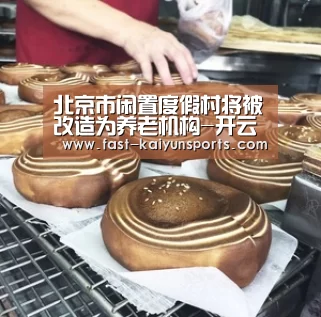 北京市闲置度假村将被改造为养老机构-开云体育入口(图1) 开云体育数据中心
