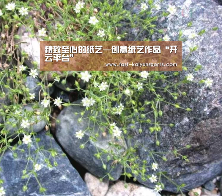 KAIYUN中国站